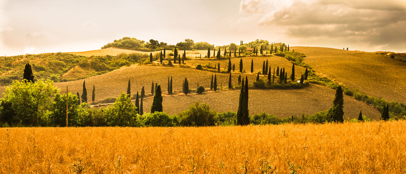 Val D'Orcia Wheelchair Tuscany Accessible Tours Val D'Orcia Wheelchair Tuscany Accessible Tours