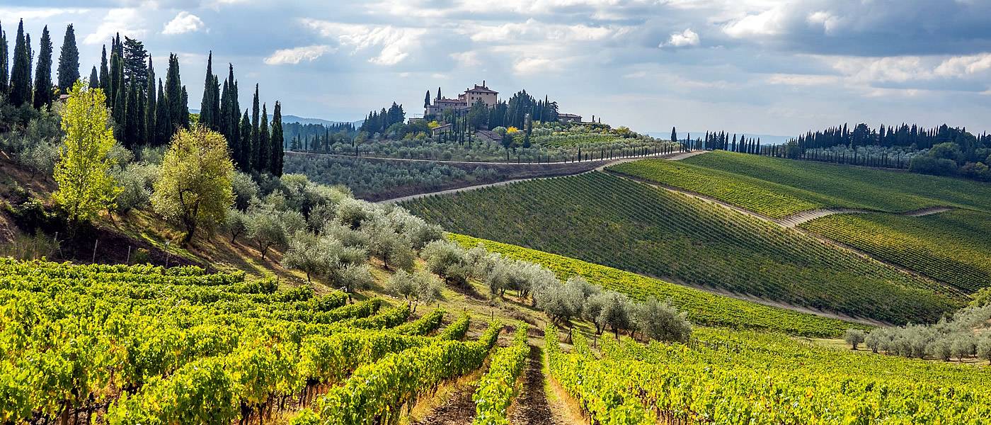 Radda in Chianti Wheelchair Siena Accessible Tuscany Tours