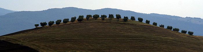 pienza wheelchair val d'orcia accessible tours