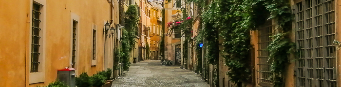 Trastevere Wheelchair Rome Accessible Tours