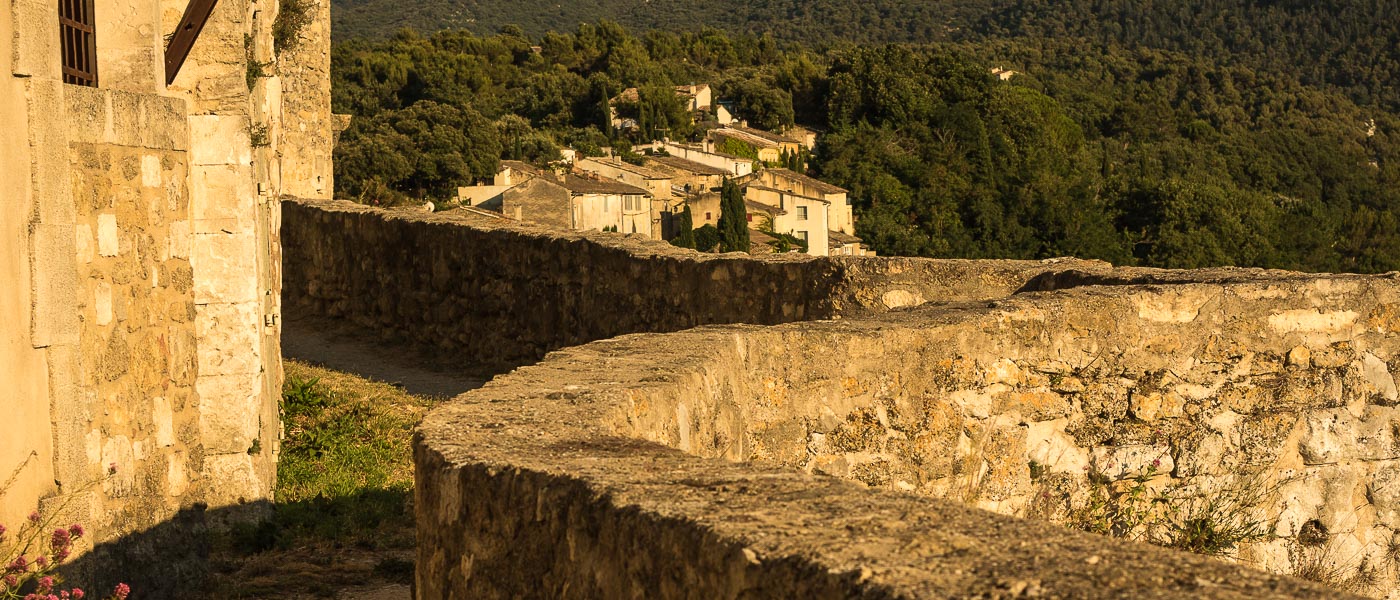 Menerbes Wheelchair Provence Accessible Tours