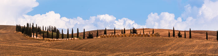 Val D'Orcia Wheelchair Tuscany Accessible Tours