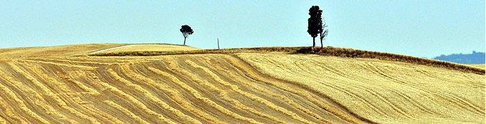 Crete Senesi Wheelchair Siena Accessible Tuscany Tours