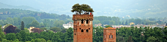 Lucca Wheelchair Tuscany Accessible Tours