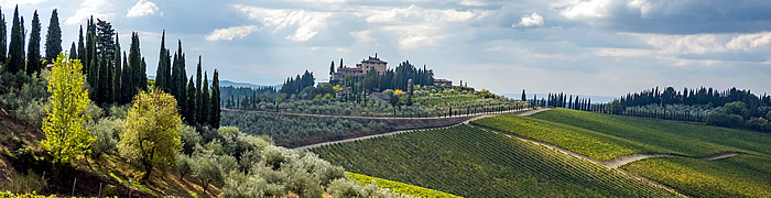 Radda in Chianti Wheelchair Siena Accessible Tuscany Tours