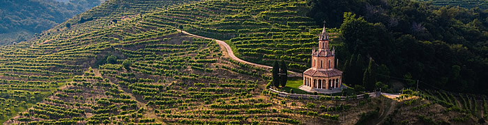 Veneto Wheelchair Wine Tasting Accessible Tours