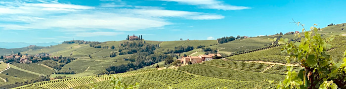 Piedmont Wheelchair Italy Accessible Tours