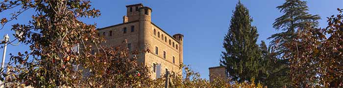 Grinzane Cavour Castle Wheelchair Piedmont Accessible Italy Tours