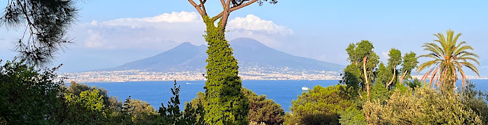 Posillipo View Wheelchair Naples Accessible Italy Tours