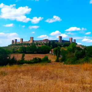 Monteriggioni Wheelchair Full Day Guided Tours – 4 hrs