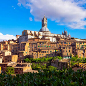 Siena Wheelchair Full Day Guided Tours – 8 hrs