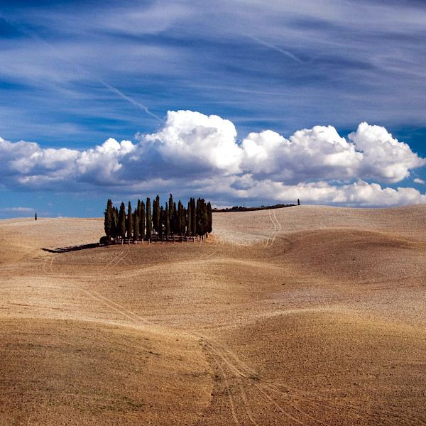 Tuscany Wheelchair Accessible Full Day Guided Tours