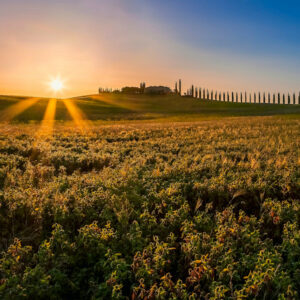 Val D’Orcia Wheelchair Full Day Guided Tours – 8 hrs