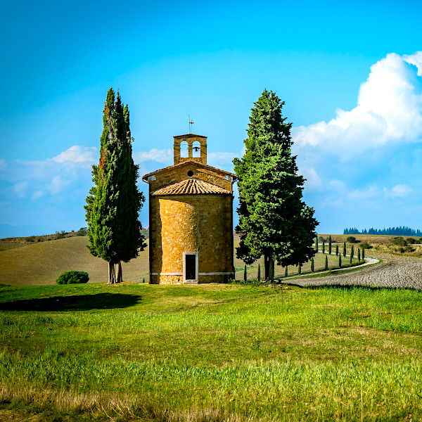 Val D'Orcia Wheelchair Accessible Full Day Guided Tours