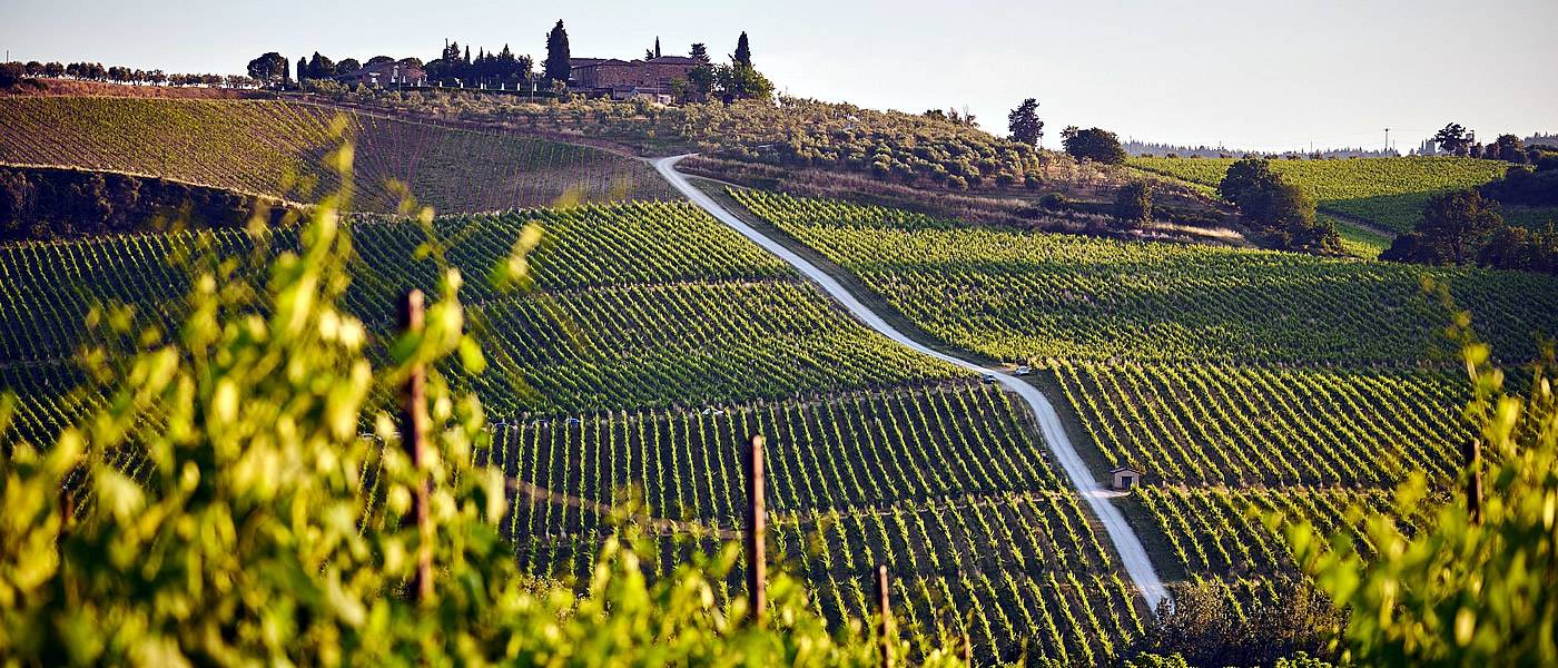 Tuscany Wheelchair Wine Tasting Italy Accessible Tours