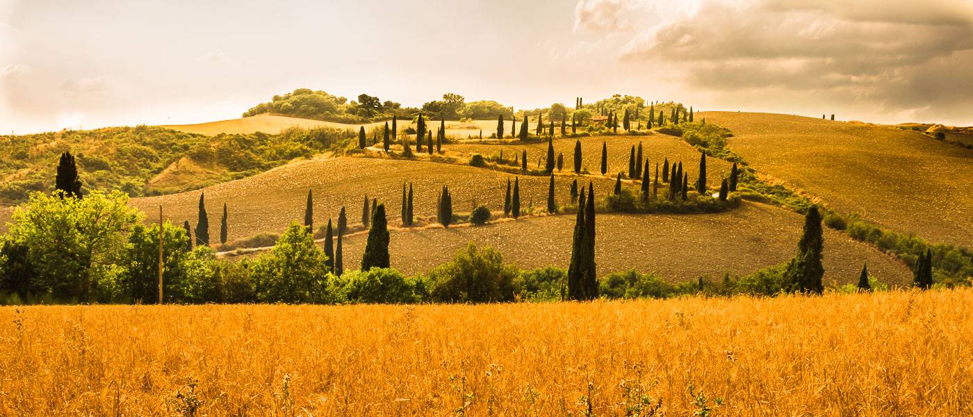 Val D'Orcia Wheelchair Tuscany Accessible Tours